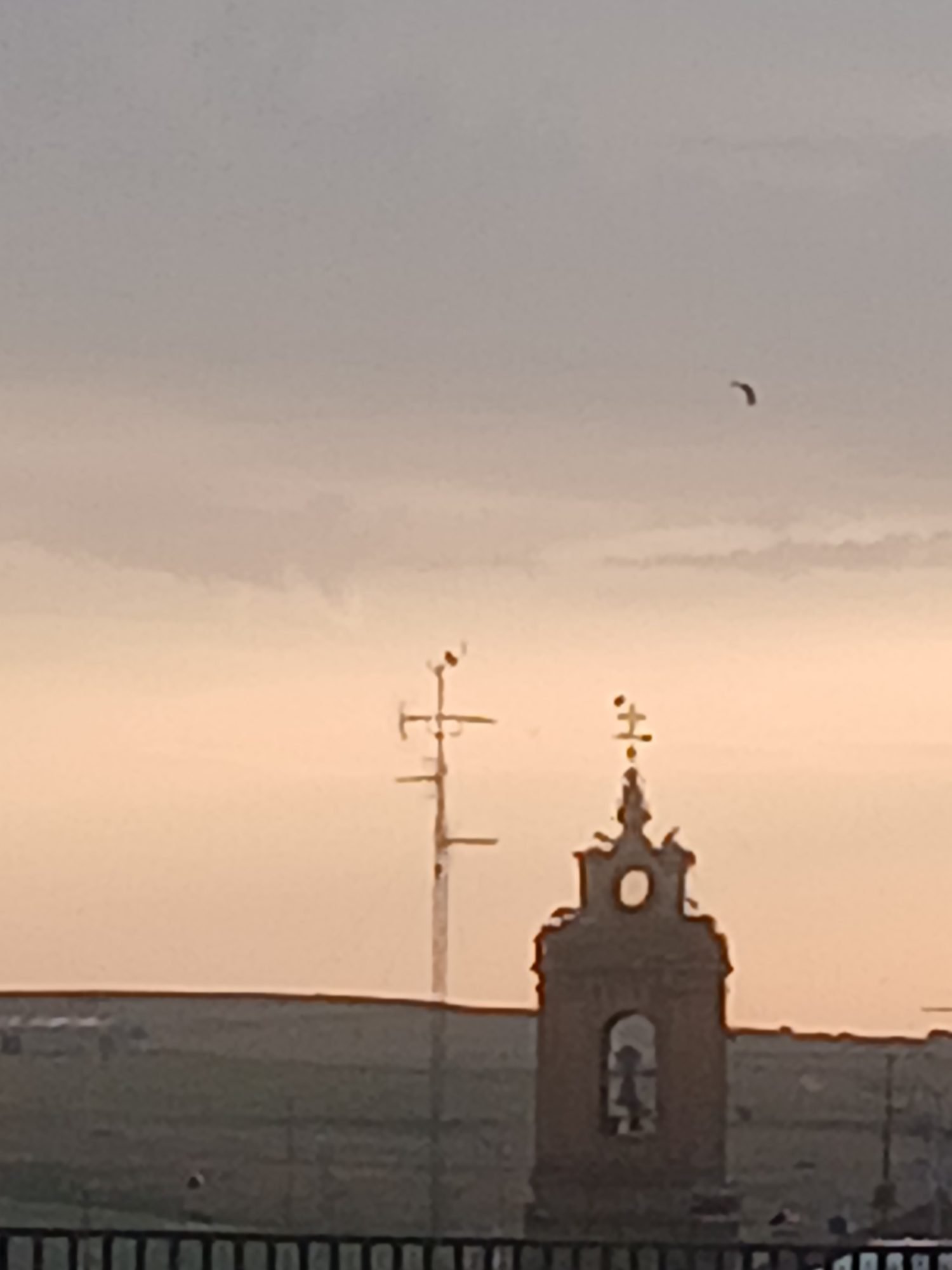 cigueñas